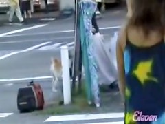 Bus stop sharking action with tantalizing sweetie being easily tricked