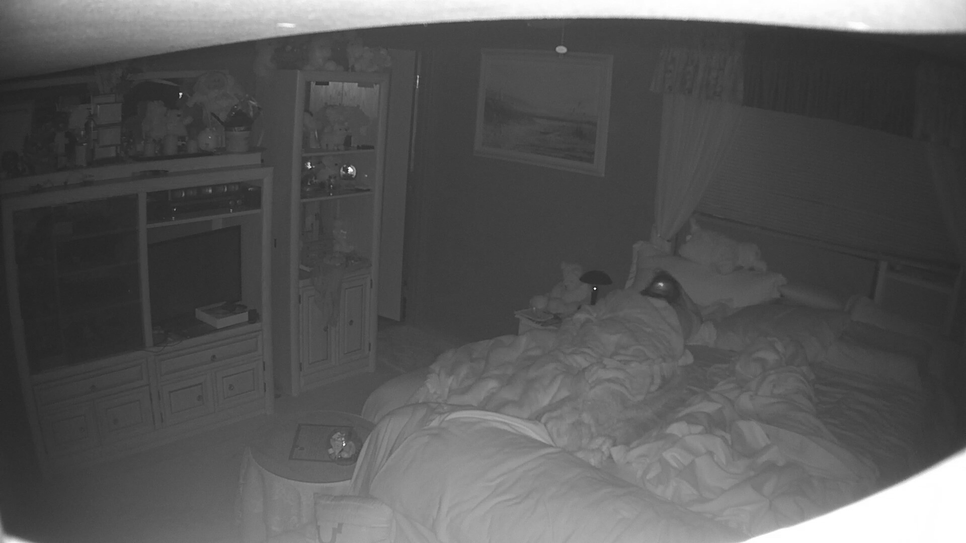 Amateur Wife caught masturbating hidden cam night vision 1 image